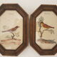 Paire de cadres ornithologie art déco