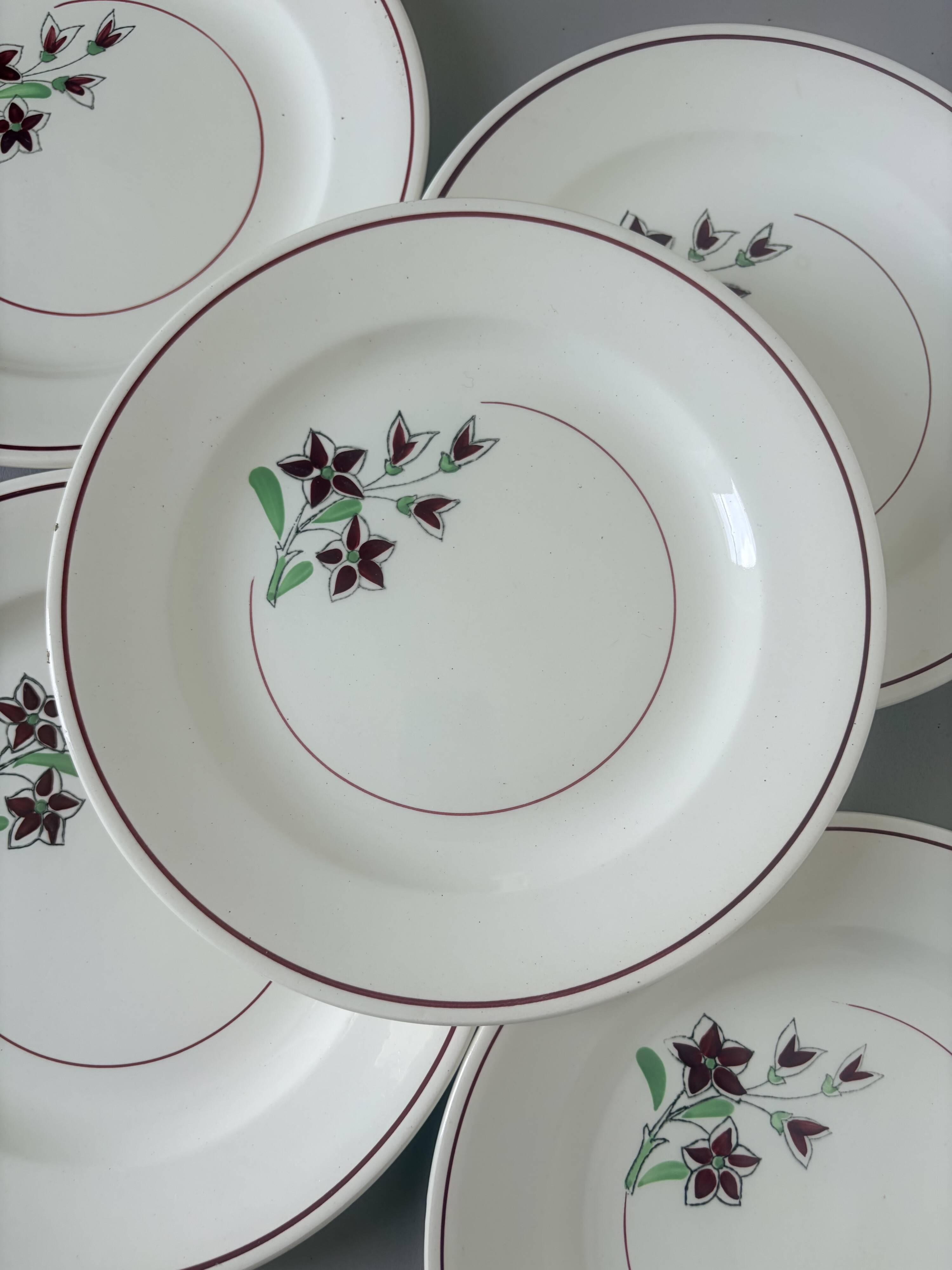 5 flat plates from Salins 210646