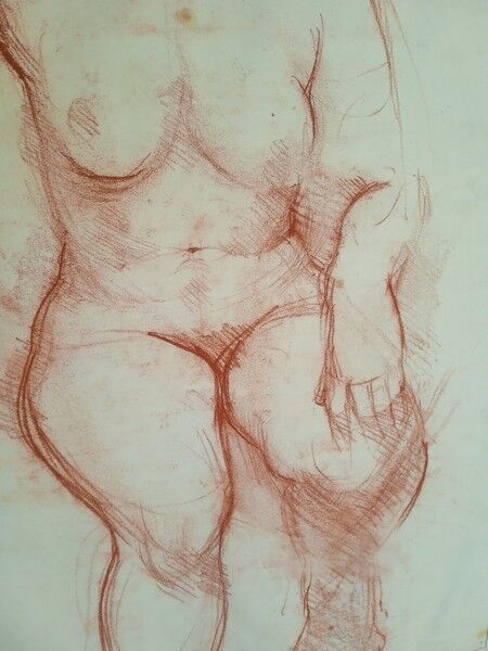 Drawing sanguine study nude female 67/50cm 1950