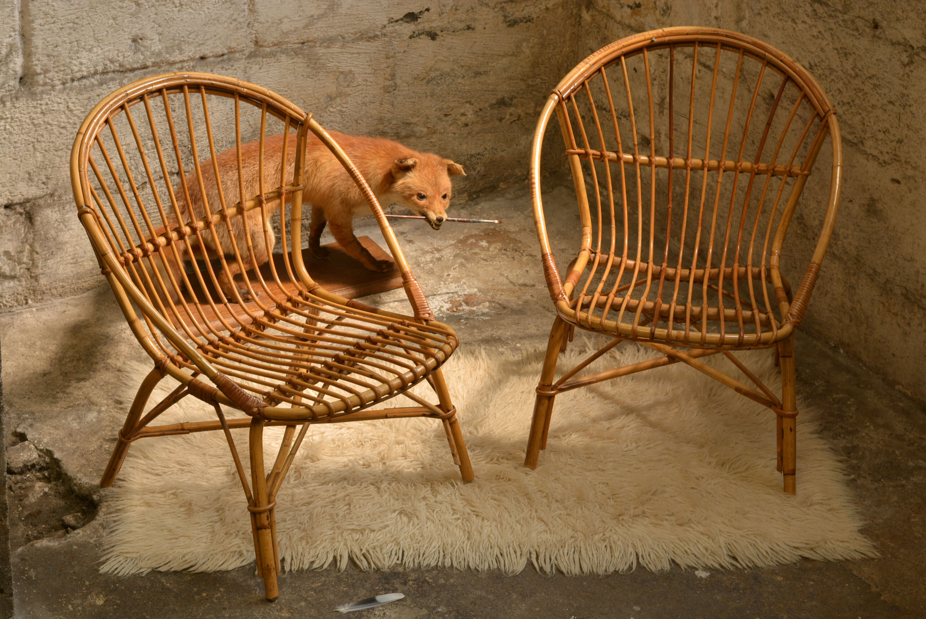 Rattan armchairs