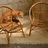 Rattan armchairs