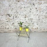 Review and plant holder 60