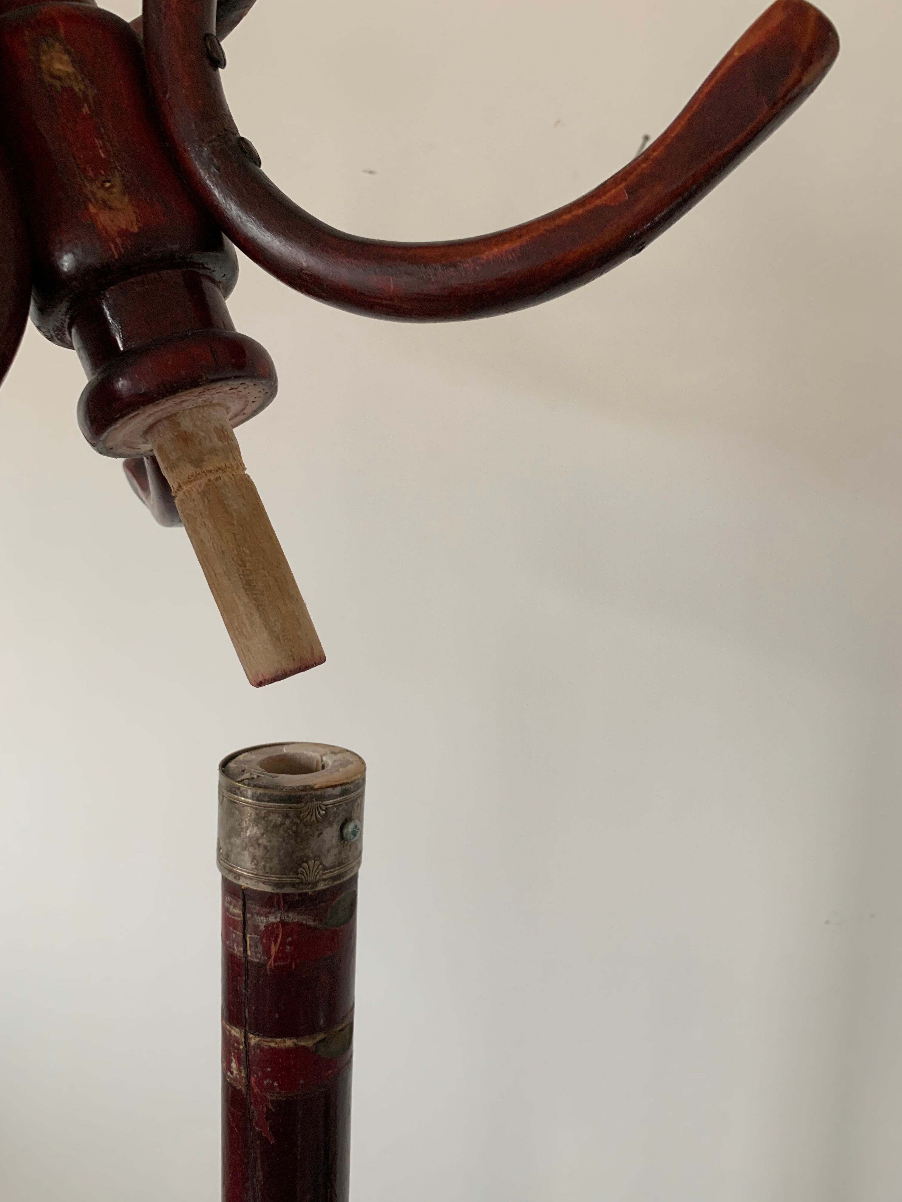 Old parrot coat hanger