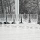 Série de 6 verres à pied vintage