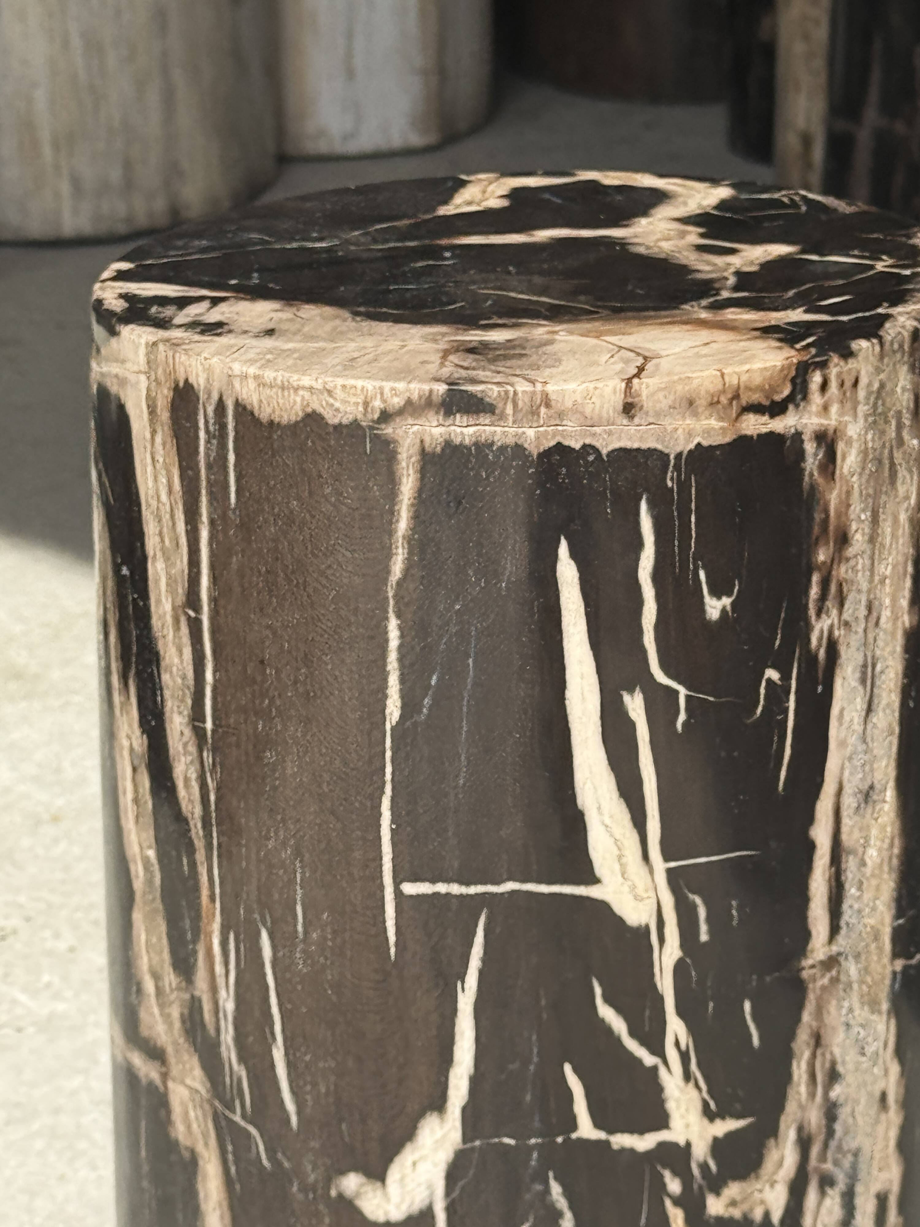Black petrified wood side table with beige stripes and a semicircular shape.