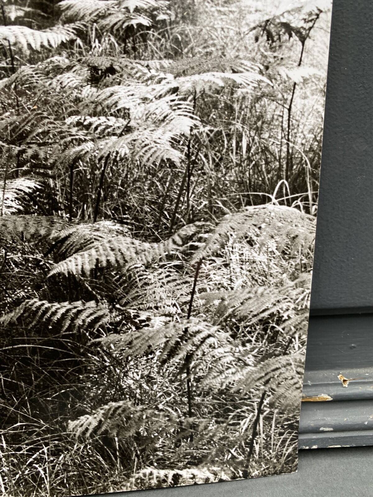 Silver gelatin photograph by Bernard Darot, Fougères, 20th century