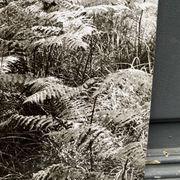 Silver gelatin photograph by Bernard Darot, Fougères, 20th century