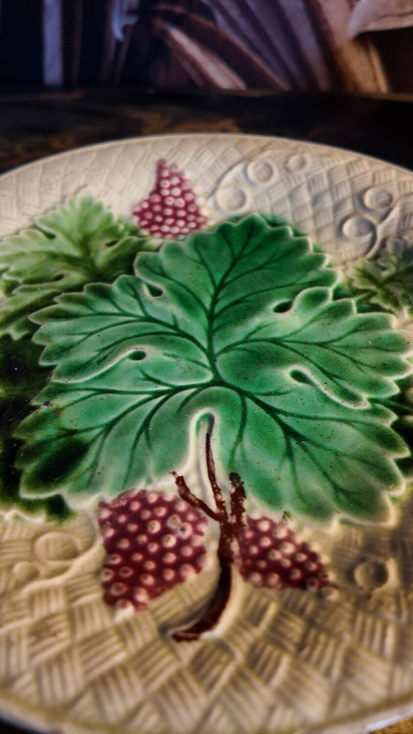 Salins les Bains vine barbotine plate