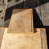Box in olive tree
