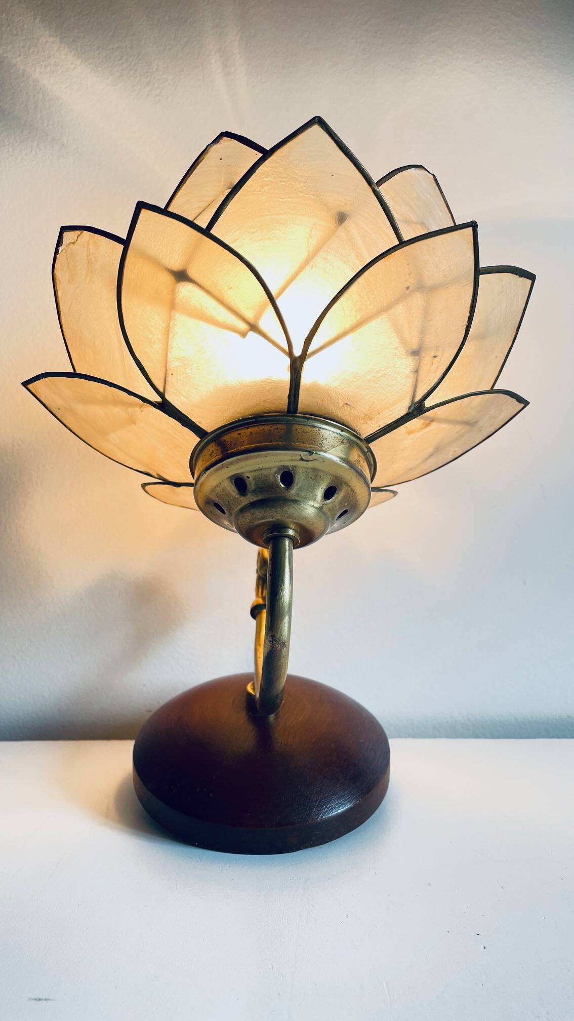 Vintage mother-of-pearl and brass flower wall lamp