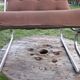 Chair tubular in Brown velvet of the 1970s
