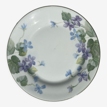 English porcelain plate