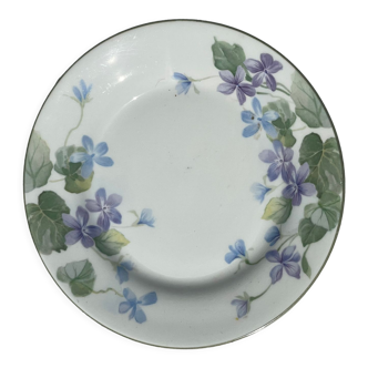 English porcelain plate