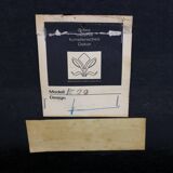 German design etched metal coffee table by Heinz Lilienthal