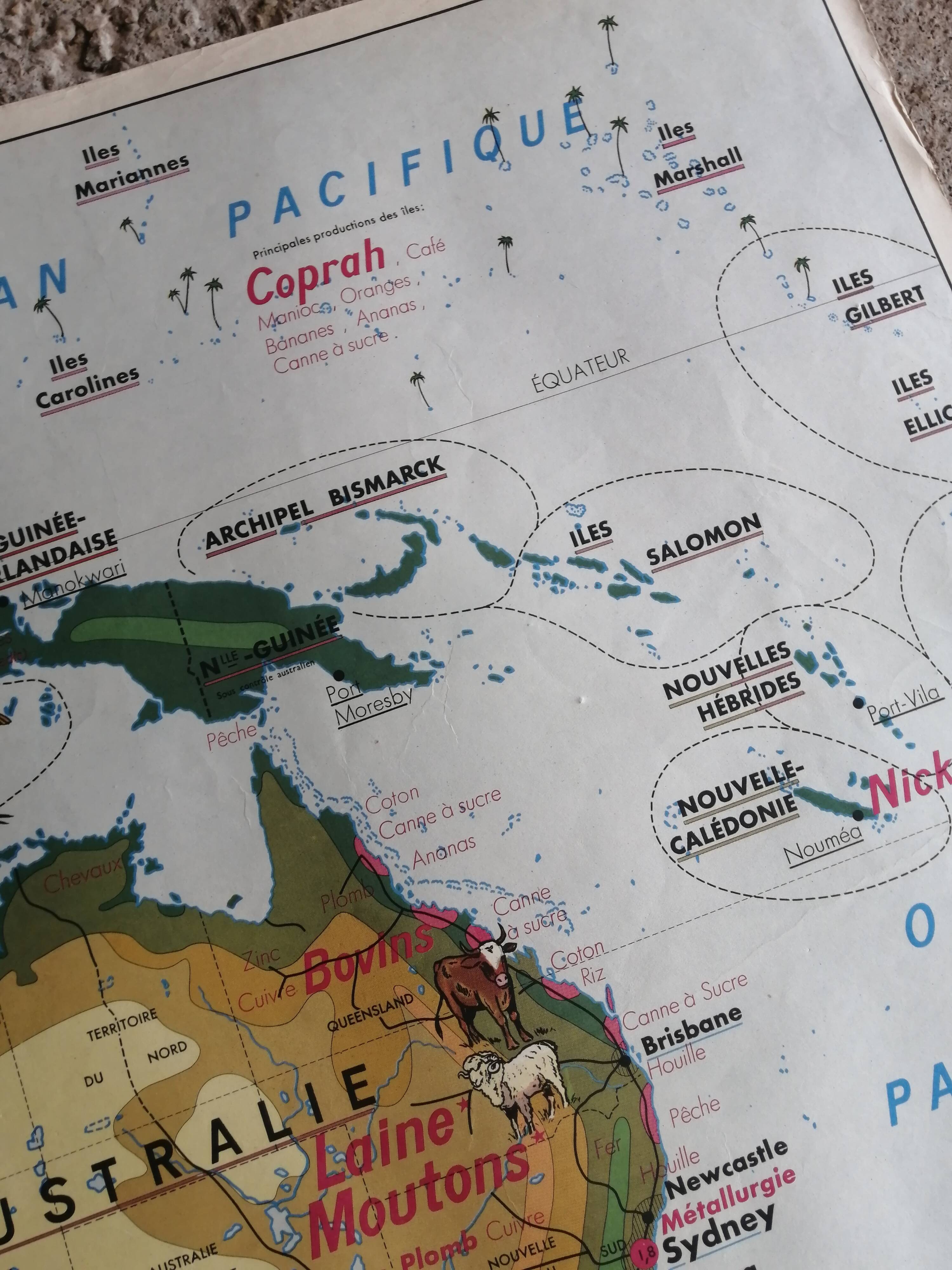 MDI school map: SOUTH AMERICA - OCEANIA fauna vegetation.