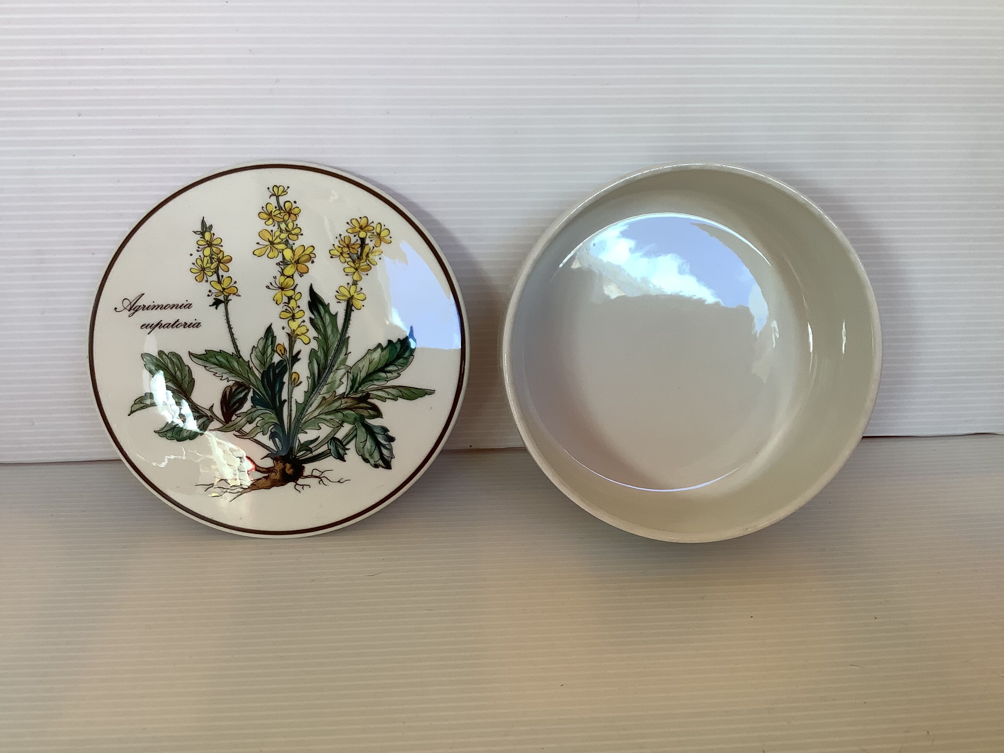 Villeroy and Boch Botanica Box