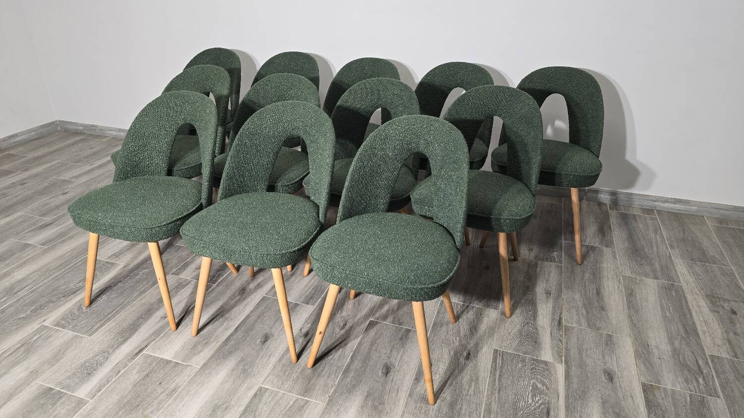 Dining Chairs by Antonin Suman, 1960s, Set of 12
