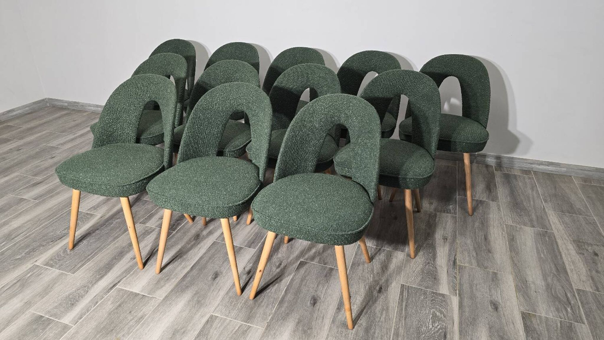 Dining Chairs by Antonin Suman, 1960s, Set of 12