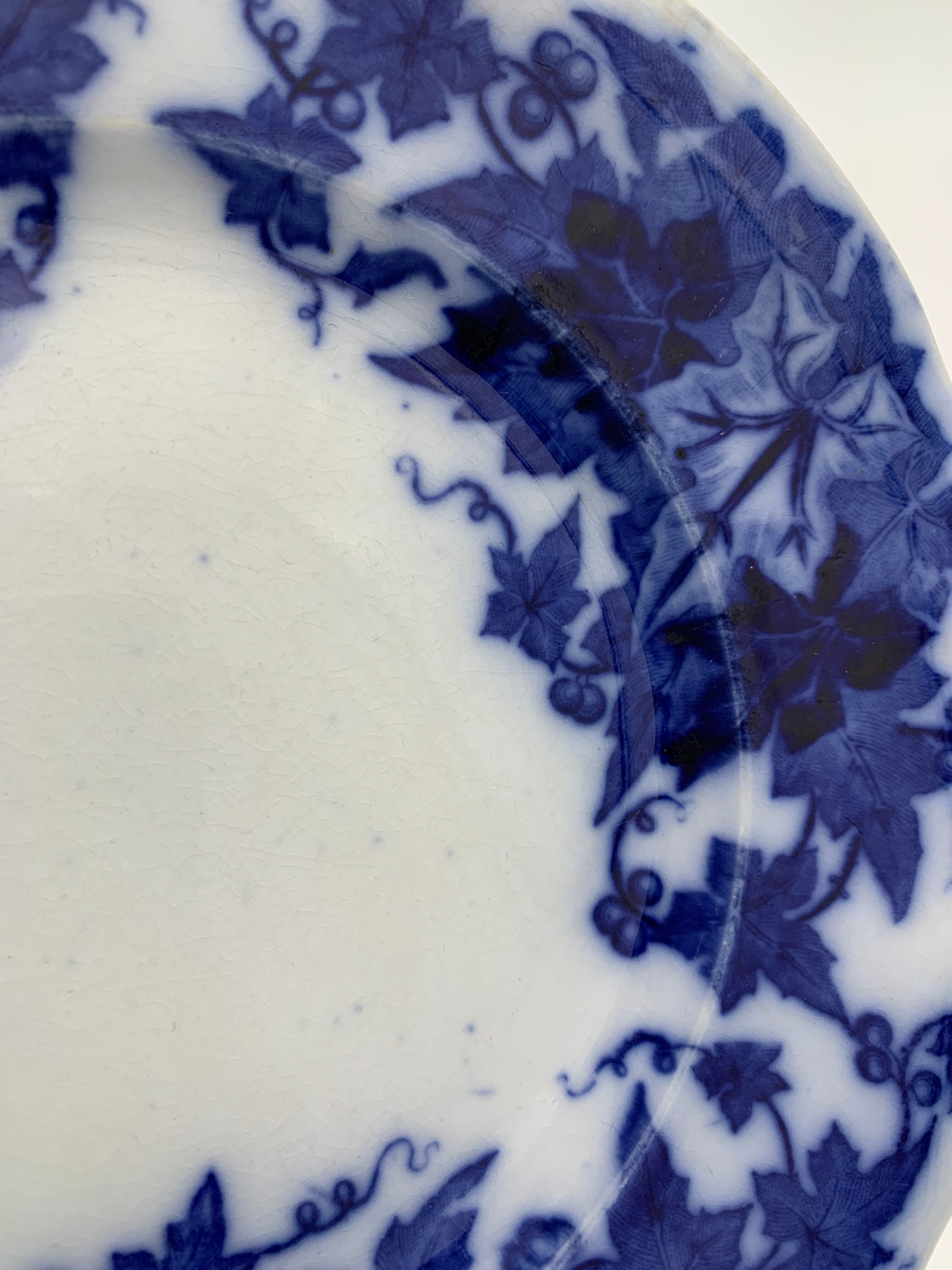 Old earthenware plate SARREGUEMINES, Bryonia model - Late 19th century