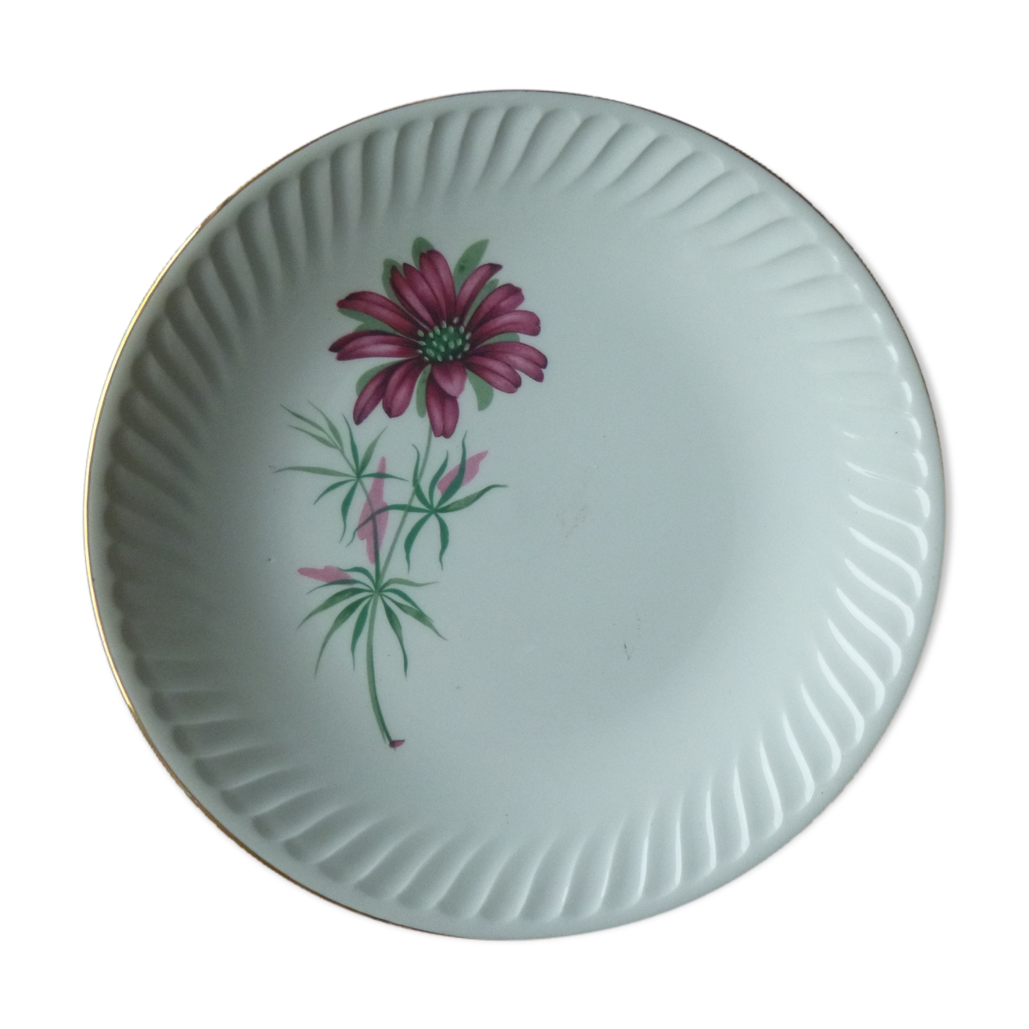 Flat plate gien model Malmaison