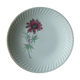Flat plate gien model Malmaison