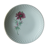 Flat plate gien model Malmaison