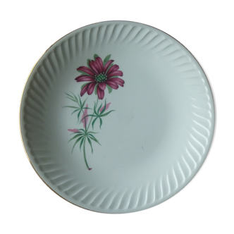 Flat plate gien model Malmaison