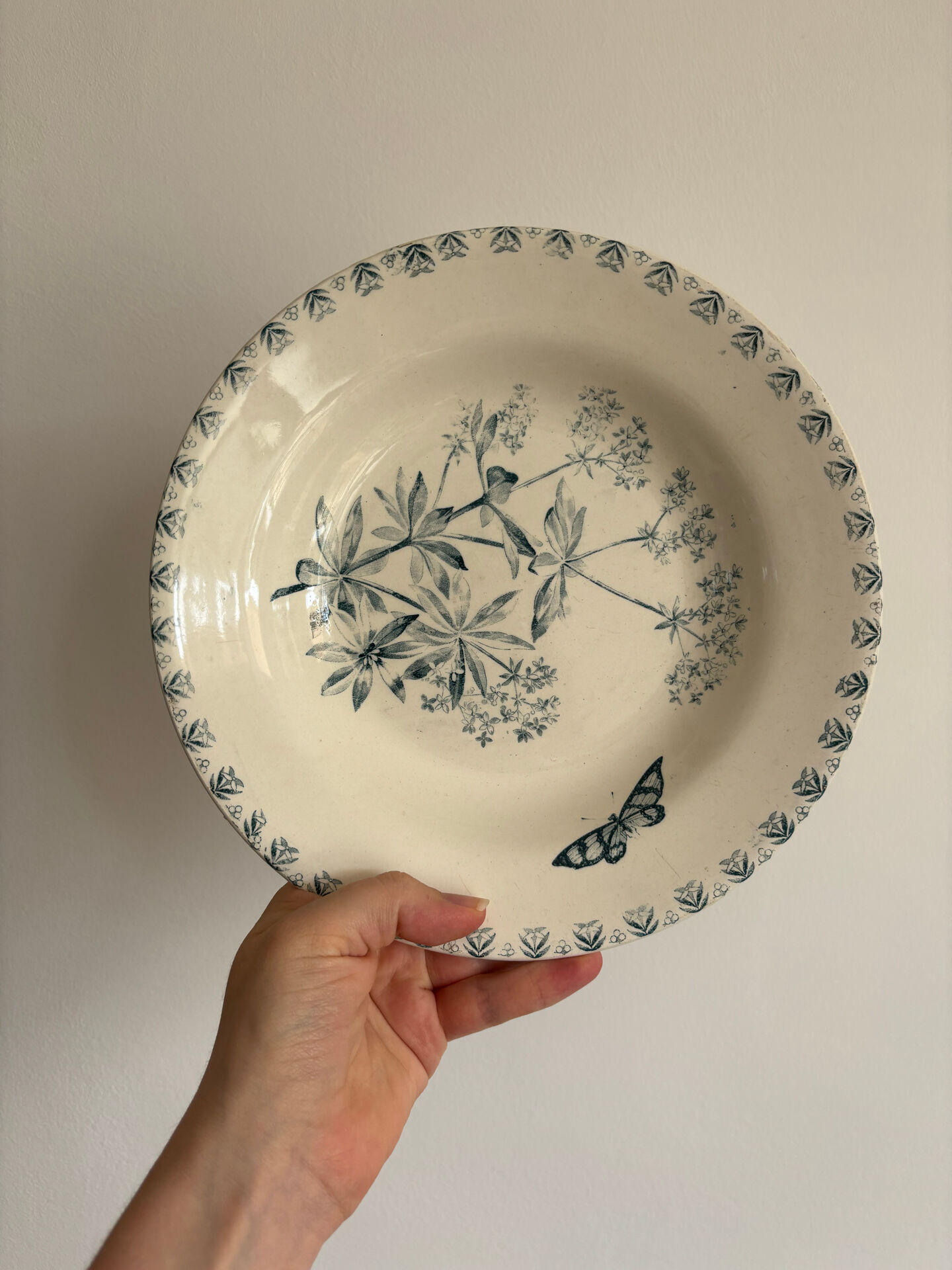 Shallow dish ironstone butterfly pattern Valius model