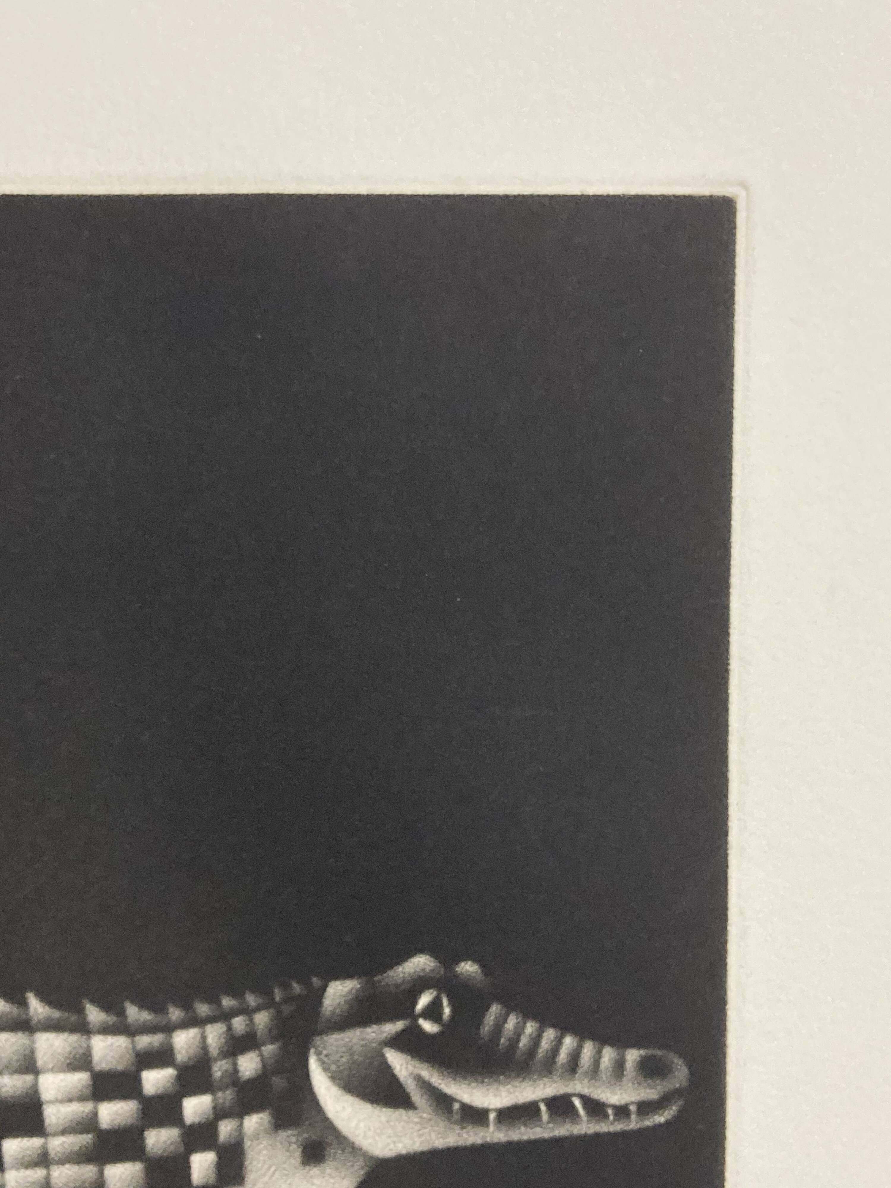 Mario avati (1921-2009), alligator, black and white, 1970