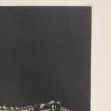 Mario avati (1921-2009), alligator, black and white, 1970