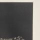 Mario avati (1921-2009), alligator, black and white, 1970