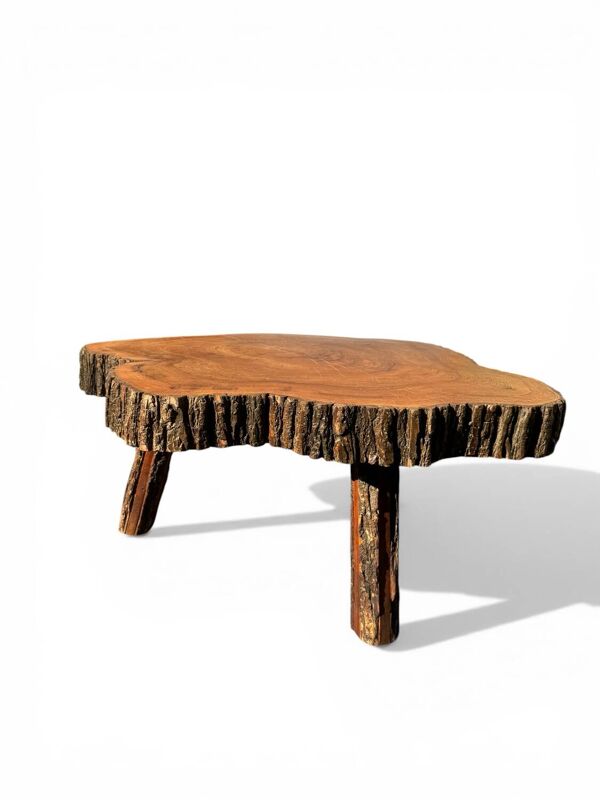 Grande table basse brutaliste monoxyle tronc de cèdre 1960
