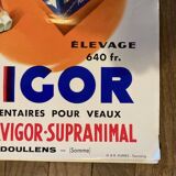 AFFICHE ANCIENNE PIN UP  VOVIGORD