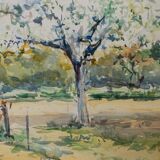 Watercolor by Robert Lange Spring 20th