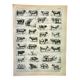 Gravure ancienne 1898, Bœuf, vache, taureau, veau • Lithographie, illustration originale
