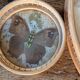 Vintage bamboo tray + 6 butterfly coasters from the 70s