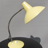 Flexible lamp, ivory