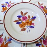 5 flat plates 2010146