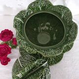 Old soup in dabbling