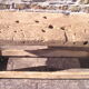 Old established 2.50m