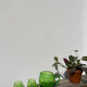 4 green water glasses and vintage blown glass carafe