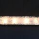 Murano glass sconces