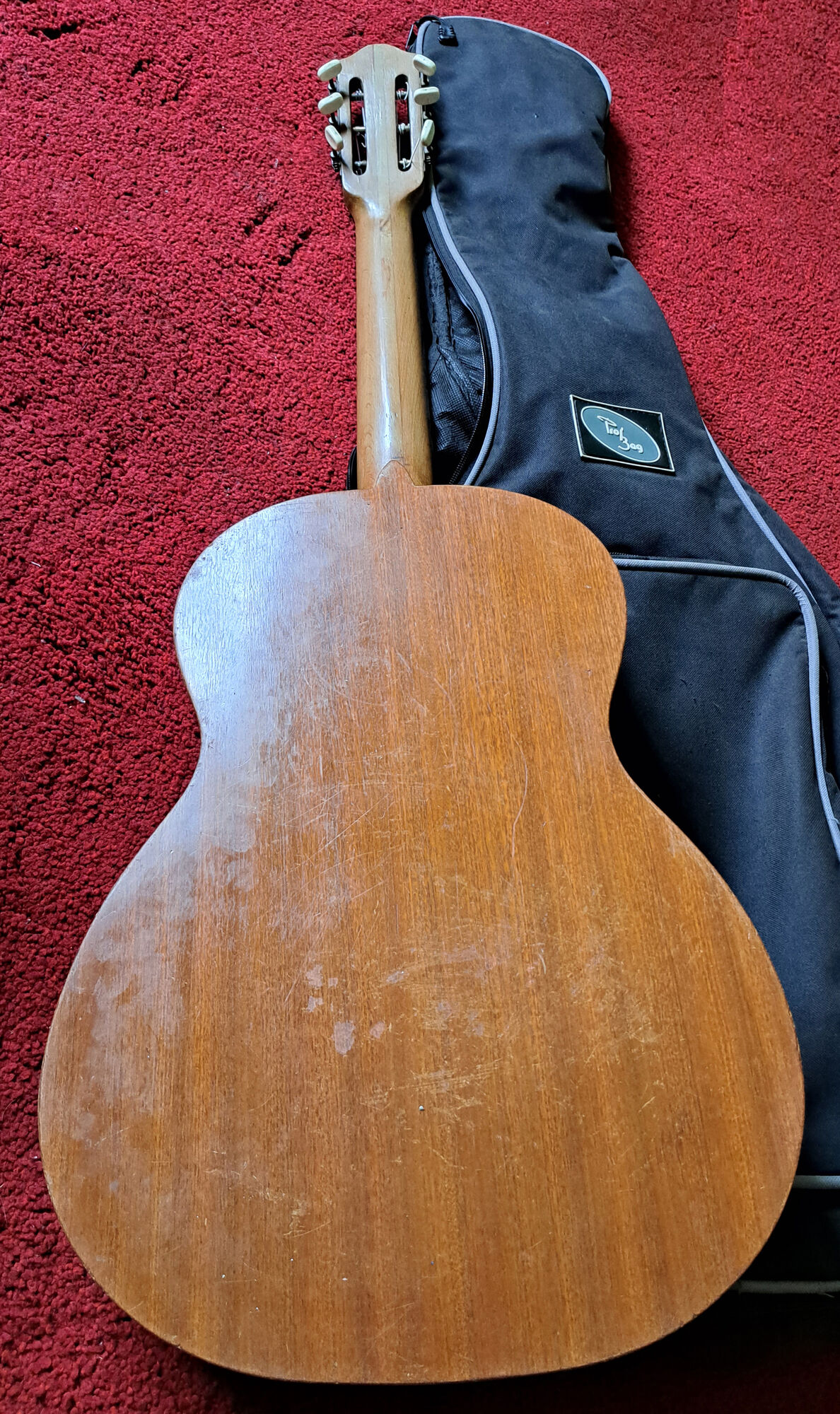 Guitare vintage sicilienne s.groi silvestri 1950s/60s