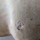Large Tang-style horse in crackled ceramic 40 cm
