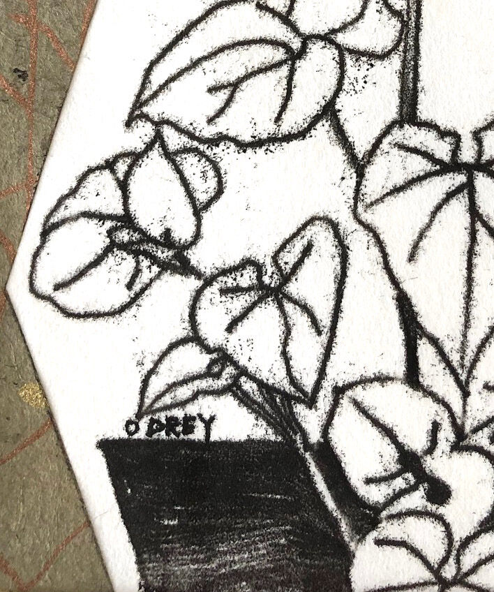 Organized jungle illustration 2