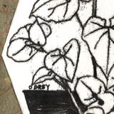 Illustration jungle organisée 2
