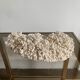 Corail blanc 33 cm