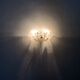 1 of 2 Floral Crystal Glass Wall Lamps by Ernst Palme