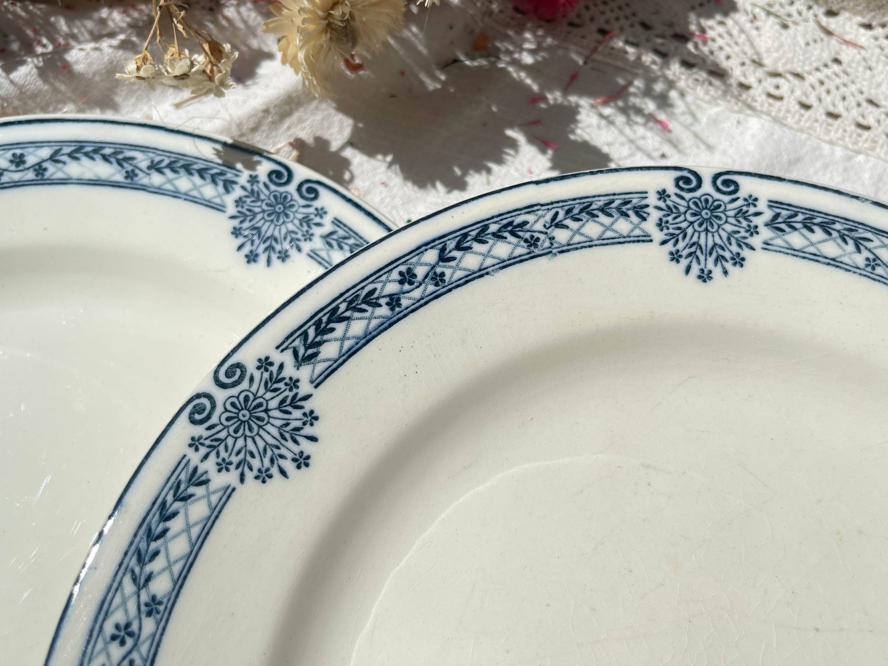 6 Flat plates Terre de fer bleu Salins model Arbois Ennege