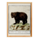 Small poster about the bear, after an old engraving from 1610.